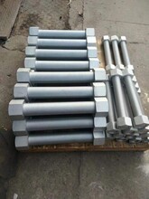 东莞紫牛奇基文化传播